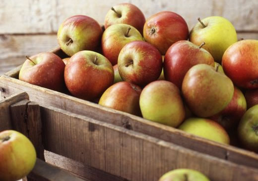 Как хранить яблоки в квартире
