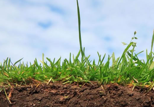 От чего зависит урожайность почвы