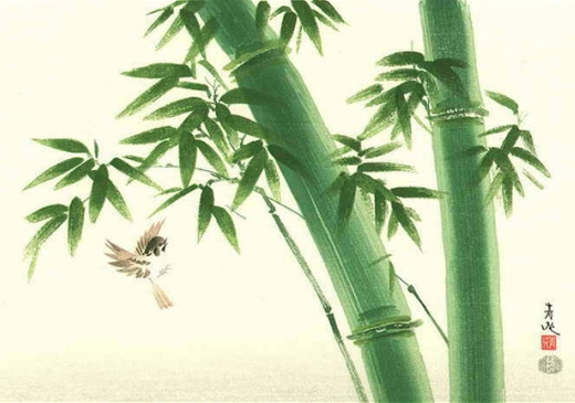Растение, которое приносит удачу - комнатный бамбук
