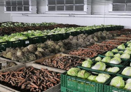 Требуются ли отдельные ящики для разных овощей